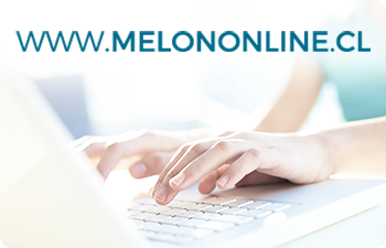 www.melononline.cl